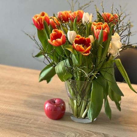 Hegau Boardinghouse Apartman Singen Kültér fotó