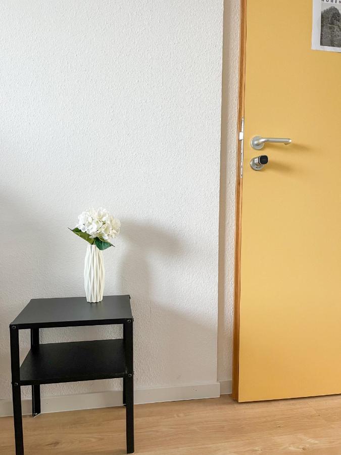 Hegau Boardinghouse Apartman Singen Kültér fotó
